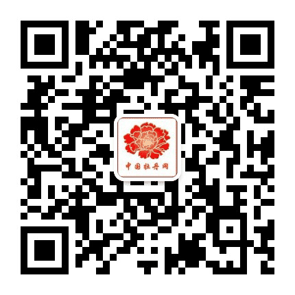 国花牡丹网公众号二维码