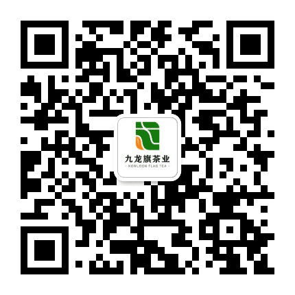 九龙旗茶业公众号二维码