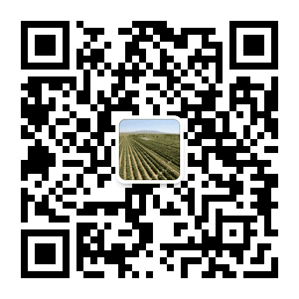 美丽红寺堡公众号二维码
