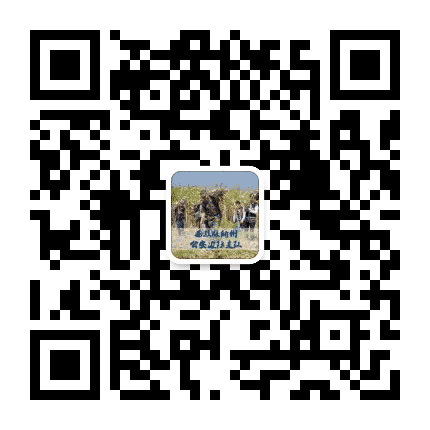 傣乡边防线公众号二维码