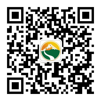 石拐街道公众号二维码