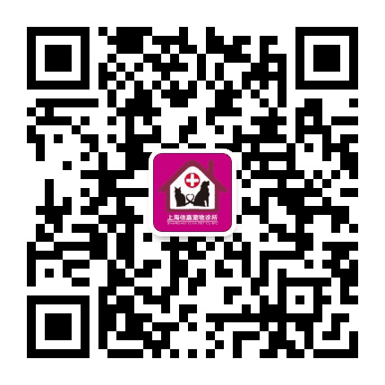 上海依嘉宠物医院公众号二维码