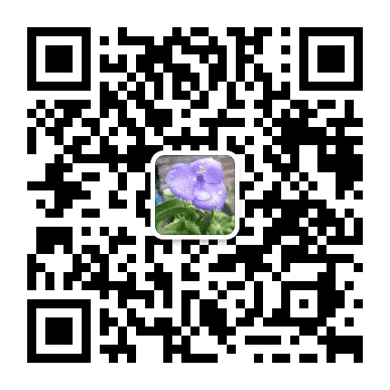 琉璃月光公众号二维码