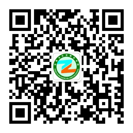 东莞长安振安学校公众号二维码
