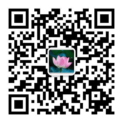 河西民盟公众号二维码