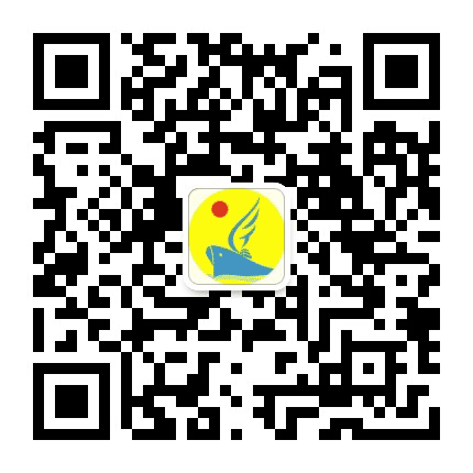 南宁市四塘梦航培训中心公众号二维码