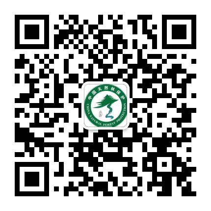 江达绿水青山公众号二维码