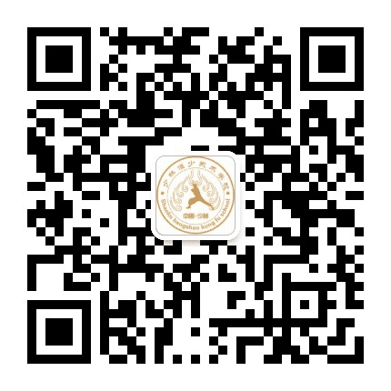 林东少林恒少武术公众号二维码