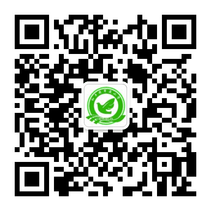九华和平将军渡小学公众号二维码