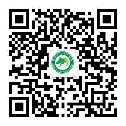 邛崃市马湖小学公众号二维码