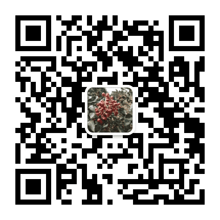 红色大渠代代传公众号二维码