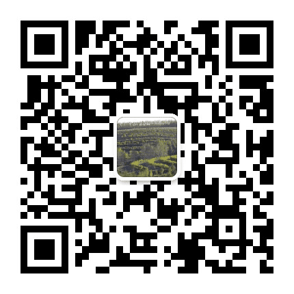 拜泉身边事公众号二维码