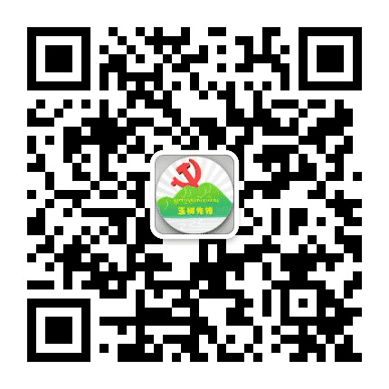 玉树先锋公众号二维码