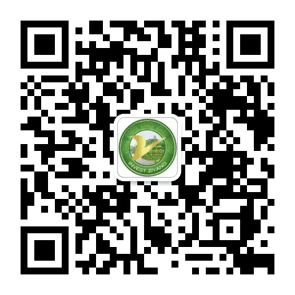 投资资阳公众号二维码