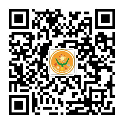 金水区宋砦英华幼儿园公众号二维码