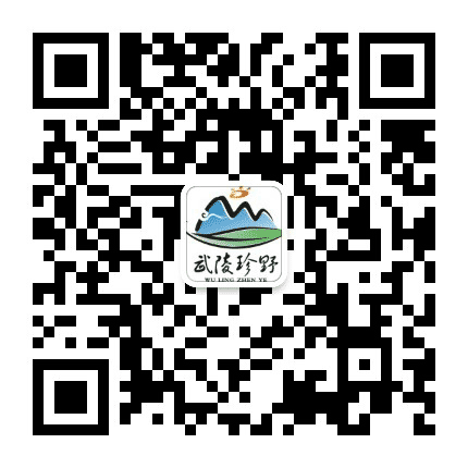 hh武陵珍野公众号二维码