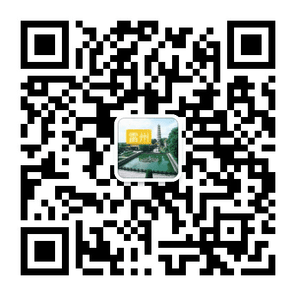 雷州视窗公众号二维码