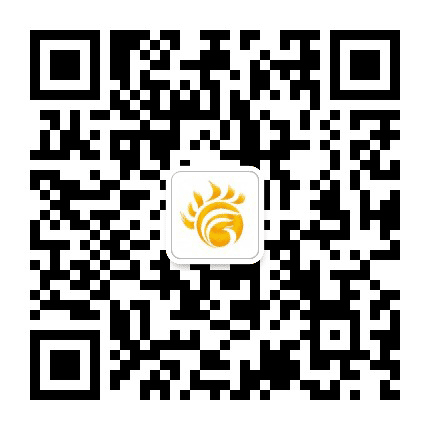 坊子四个城市公众号二维码
