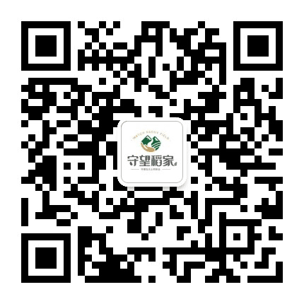 守望稻田公众号二维码