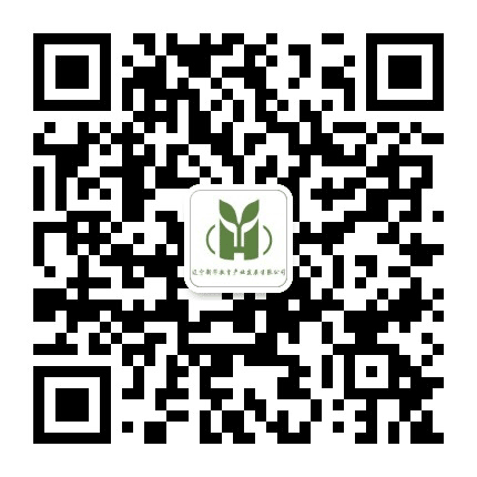 辽宁新华教育公众号二维码