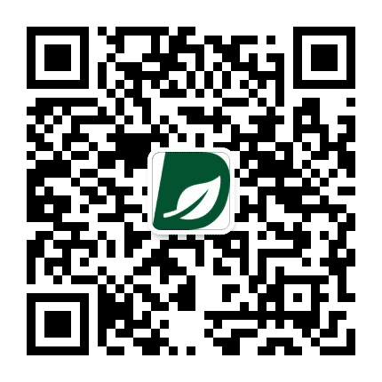 义马鼎辉精品超市公众号二维码