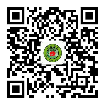 清风榴花公众号二维码