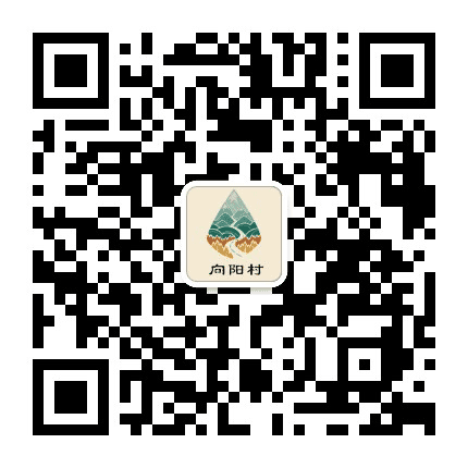 向阳村微站公众号二维码