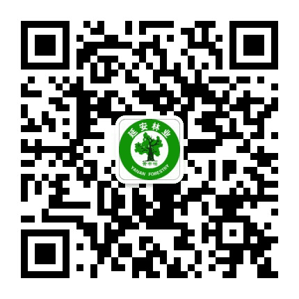 延安林业公众号二维码