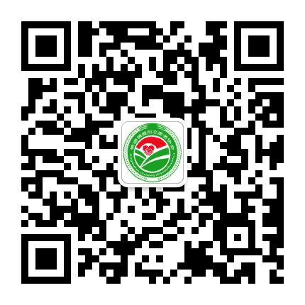 景德镇市晨阳志愿者协会公众号二维码