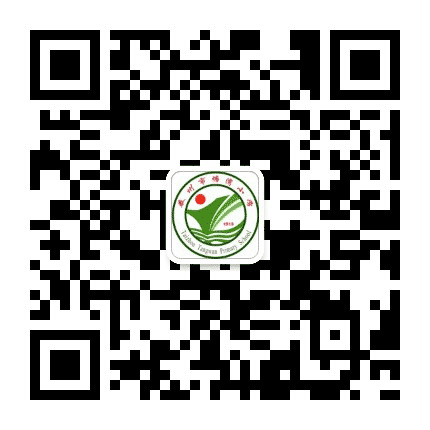 和美塘湾公众号二维码