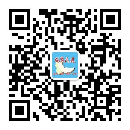 鹤岗民进公众号二维码