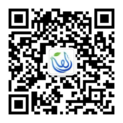 网信河东公众号二维码