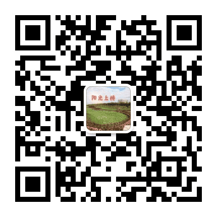 阳光上桥公众号二维码