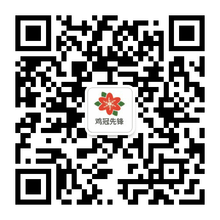 鸡冠先锋公众号二维码