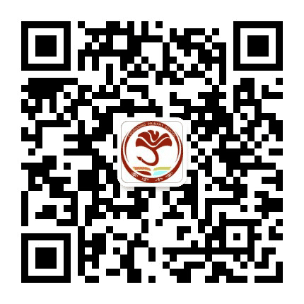 成都市郫都区崇宁小学公众号二维码