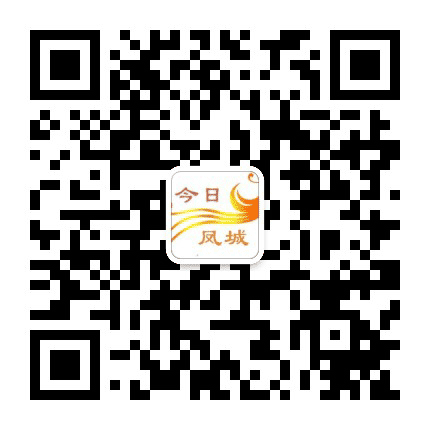 今日凤城公众号二维码