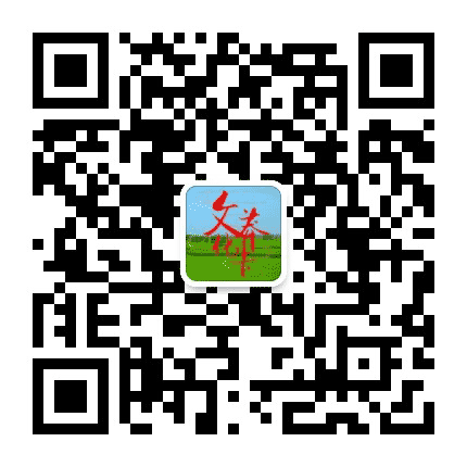 文化莽卡公众号二维码