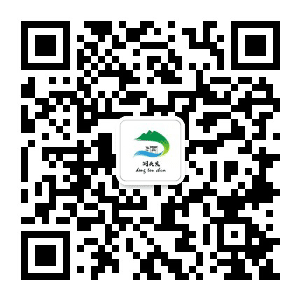 大洞头宸公众号二维码