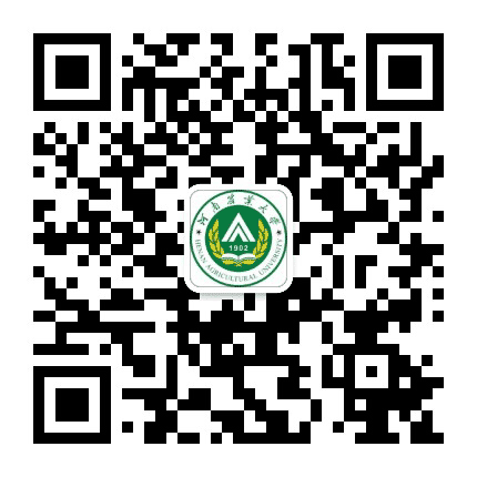 红色琴弦公众号二维码