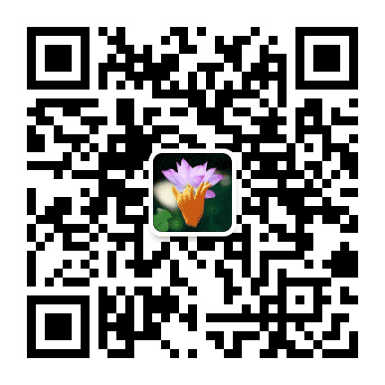 同德中医养生公众号二维码