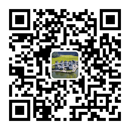智慧田阳巴某村公众号二维码