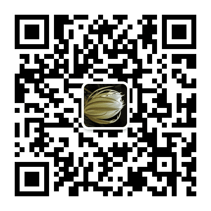 阅聊长安公众号二维码