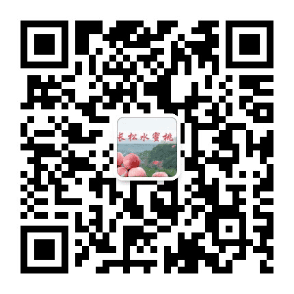龙泉驿长松村青年公众号二维码