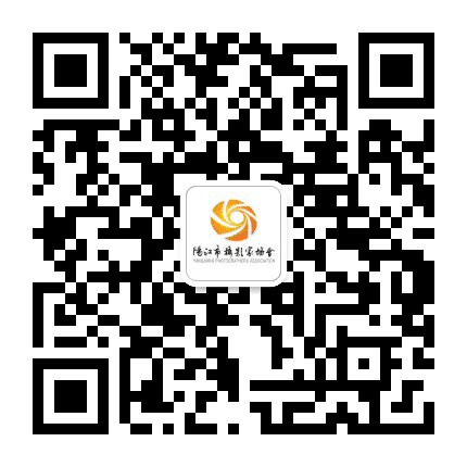 阳江市摄影家协会公众号二维码