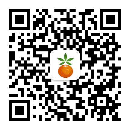 永吉农村商业银行公众号二维码