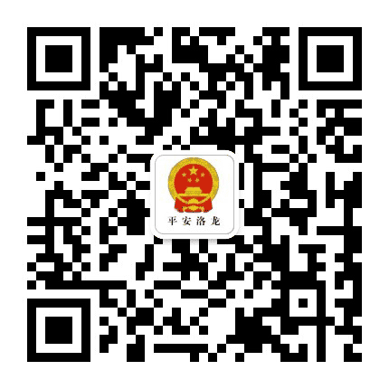 平安洛龙公众号二维码