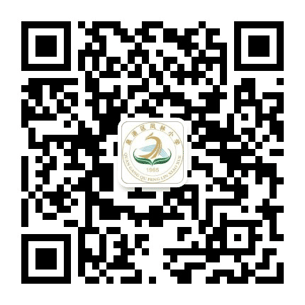 泉港区凤林小学公众号二维码