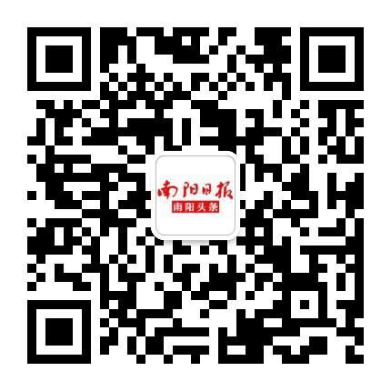 南阳日报南阳头条公众号二维码