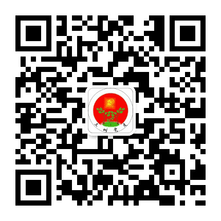 三树党建公众号二维码