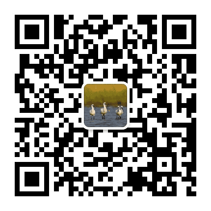 四更宣传公众号二维码